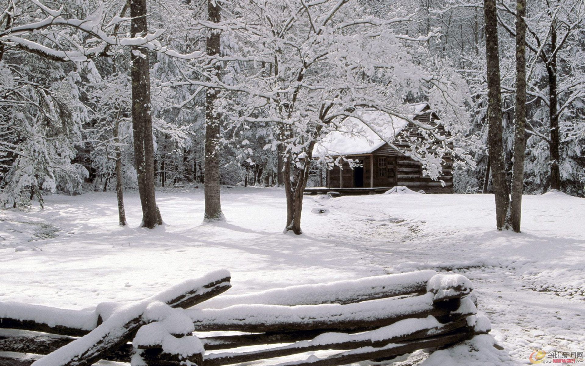 Winter landscape (61).jpg
