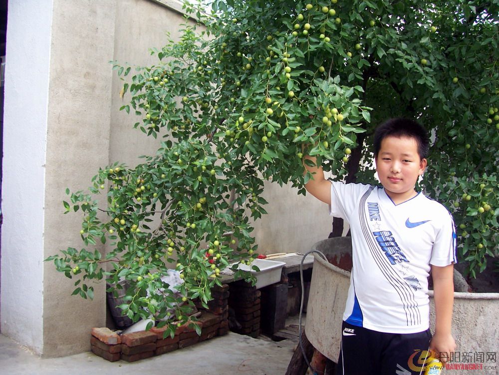 100_0753.jpg