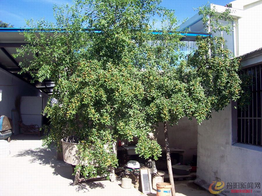 照片农村 015.jpg