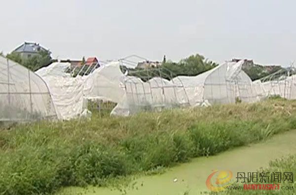 受海葵影响农作物损失惨重600.jpg