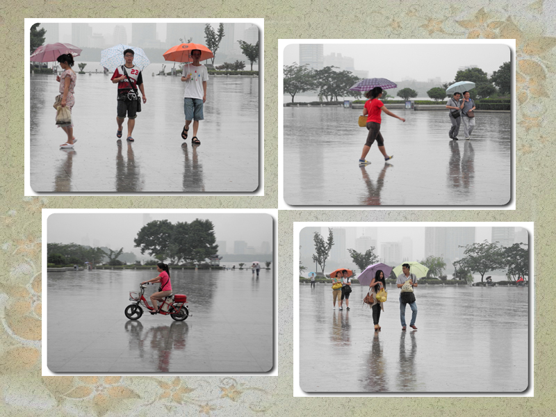 在雨中.jpg