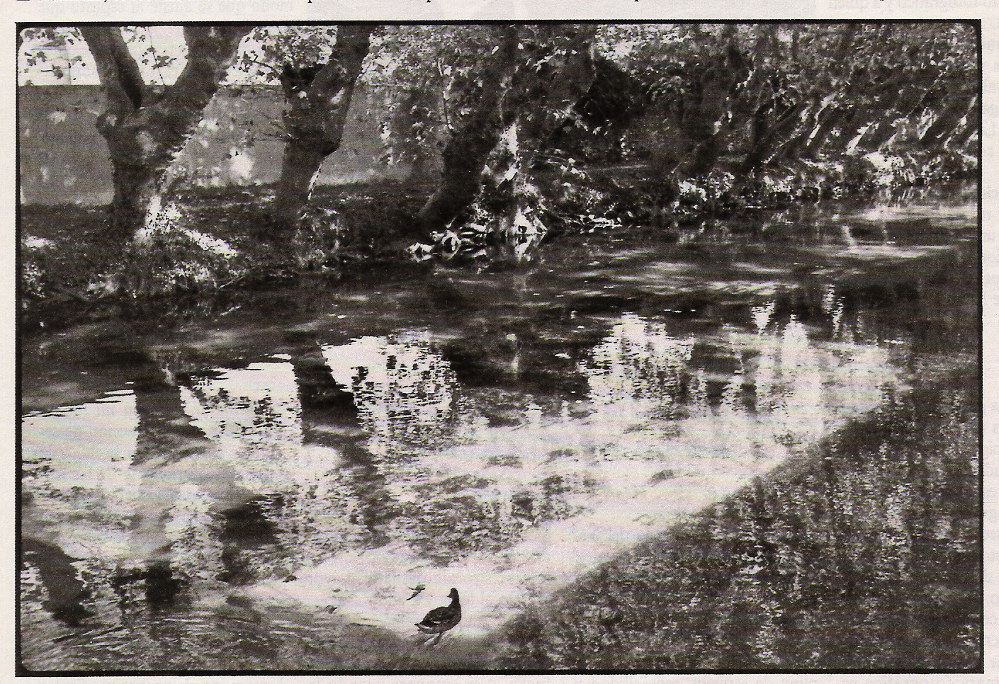 le sur la Sougue (Francia), 1988.jpg