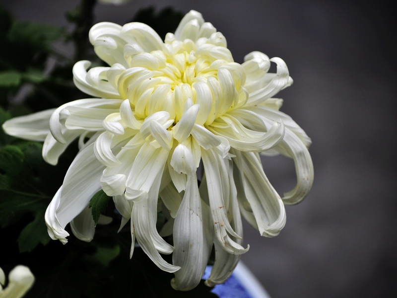DSC_1159as.jpg