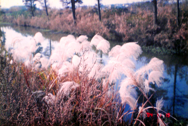 芦花沟1.jpg