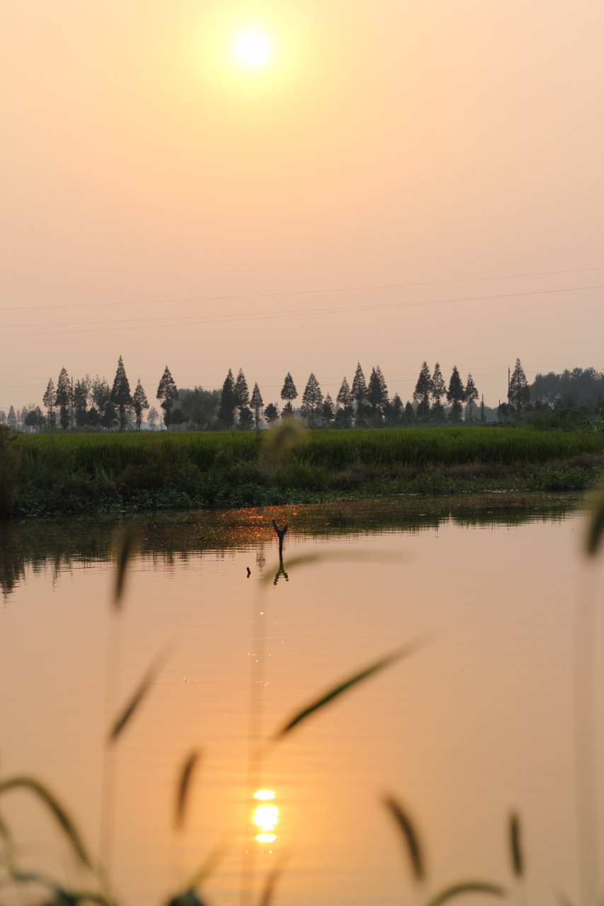 乡村夕照