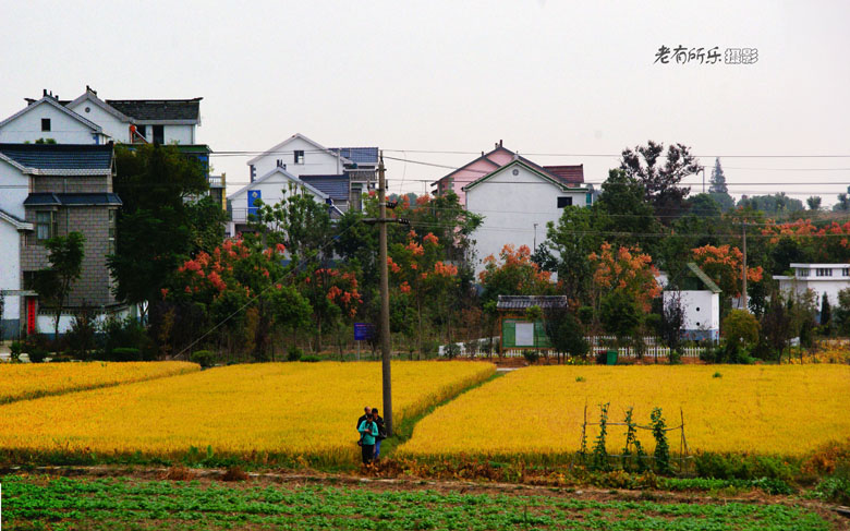 溧水高淳采风沿途所见--去慢城的道路旁 01.jpg