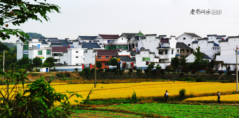 溧水高淳采风沿途所见--去慢城的道路旁 02.jpg