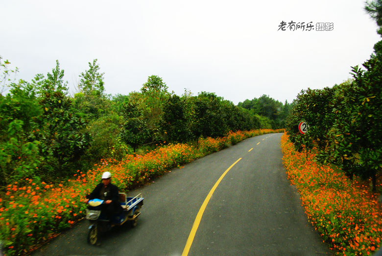 溧水高淳采风沿途所见--去慢城的路.jpg