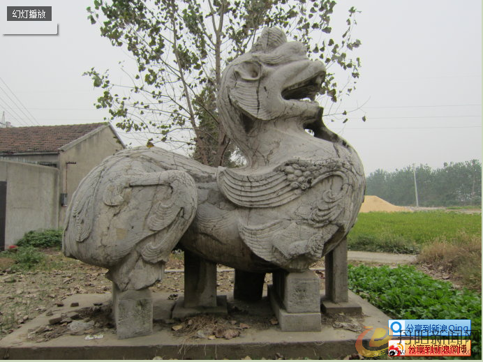 搜狗截图121115_14.png