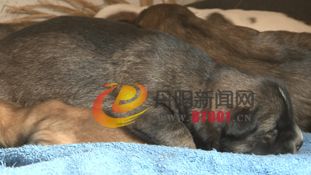 暴风截屏20121129092912.jpg