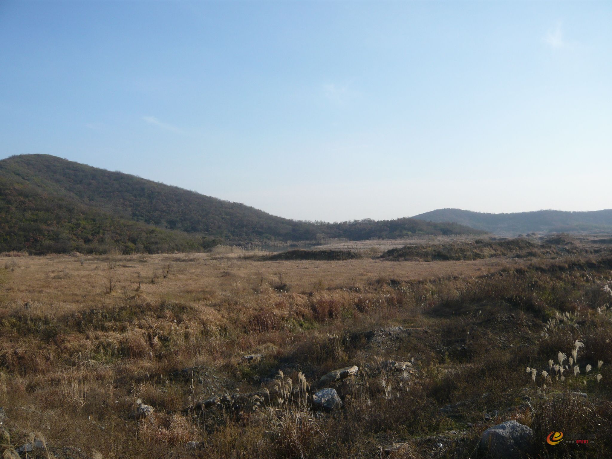 P1120326.JPG