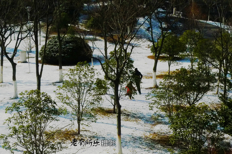 雪地追踪 03.jpg