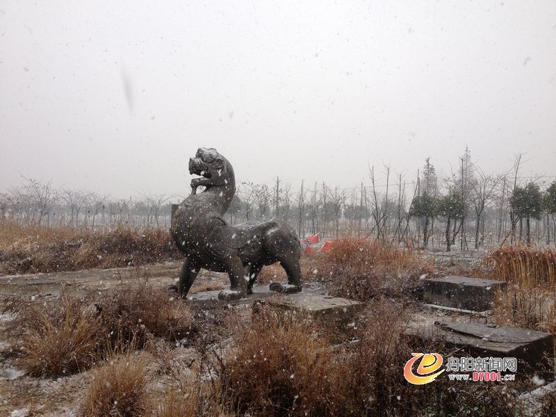省广电集团领导大雪中考察天地石刻园及齐梁石刻，丹延路大货车冲下路基 002.jpg