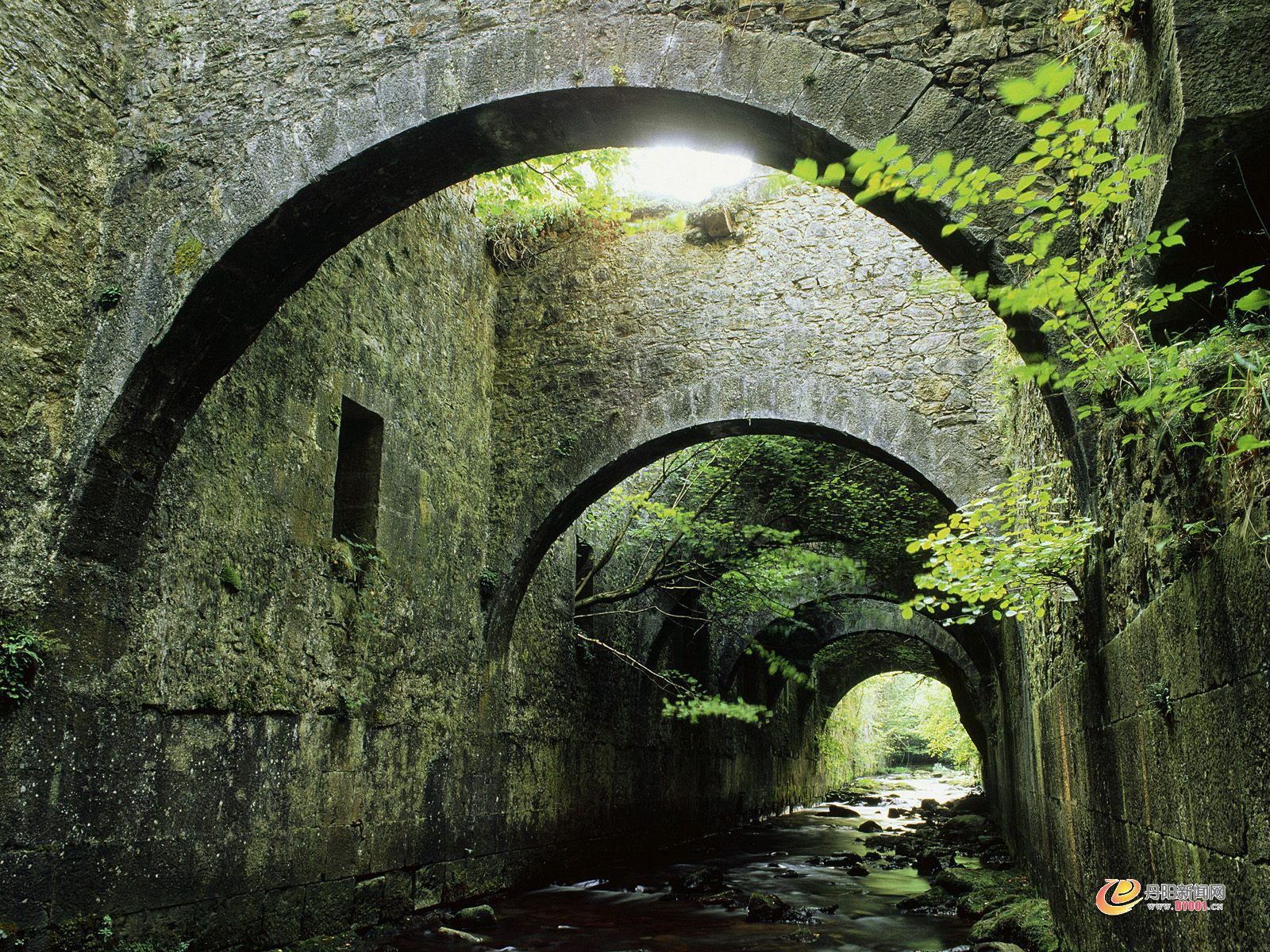 Valle de Aezkoa, Navarre, Spain.jpg