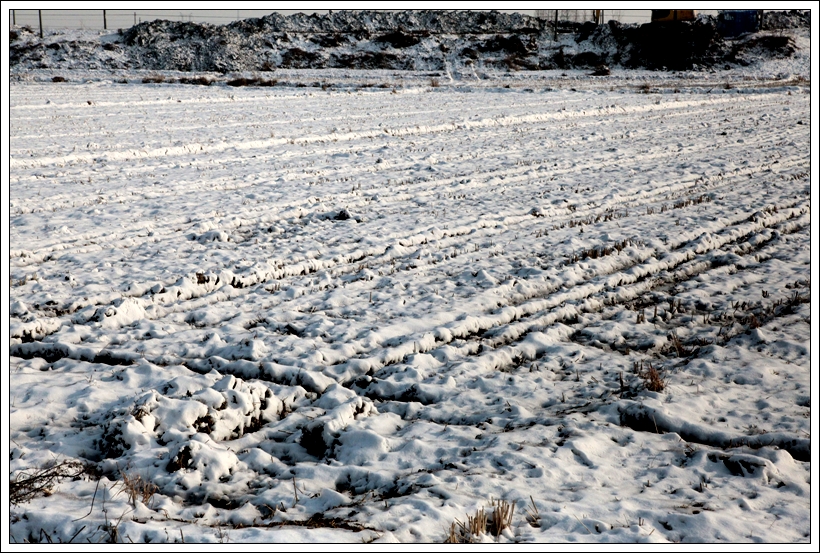 12.30雪景 002.jpg