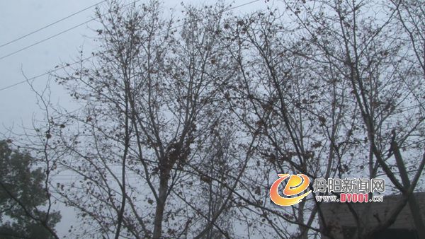 暴风截屏20130114201141.jpg