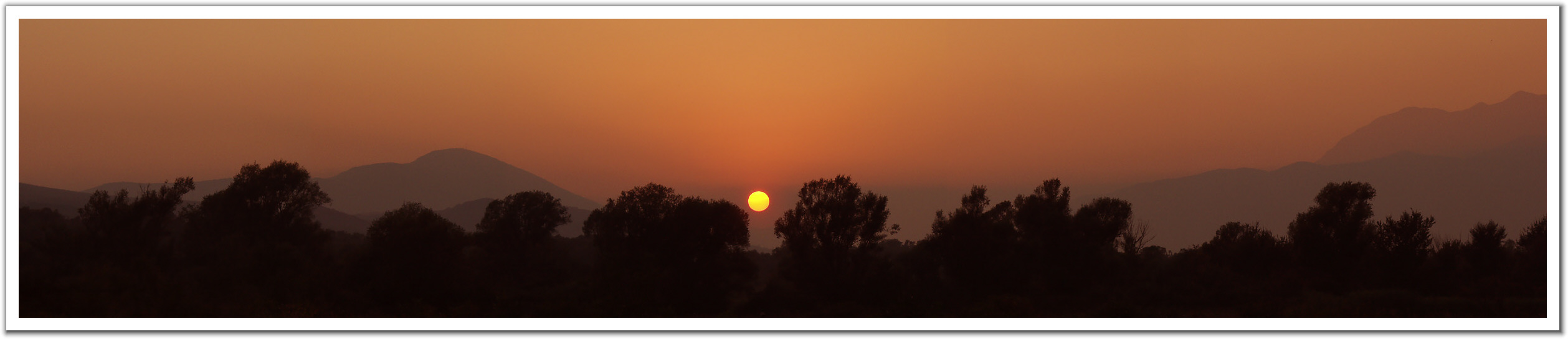 010808_Tree_Sunset_Grbalj_Montenegro_Yugoslavia.jpg