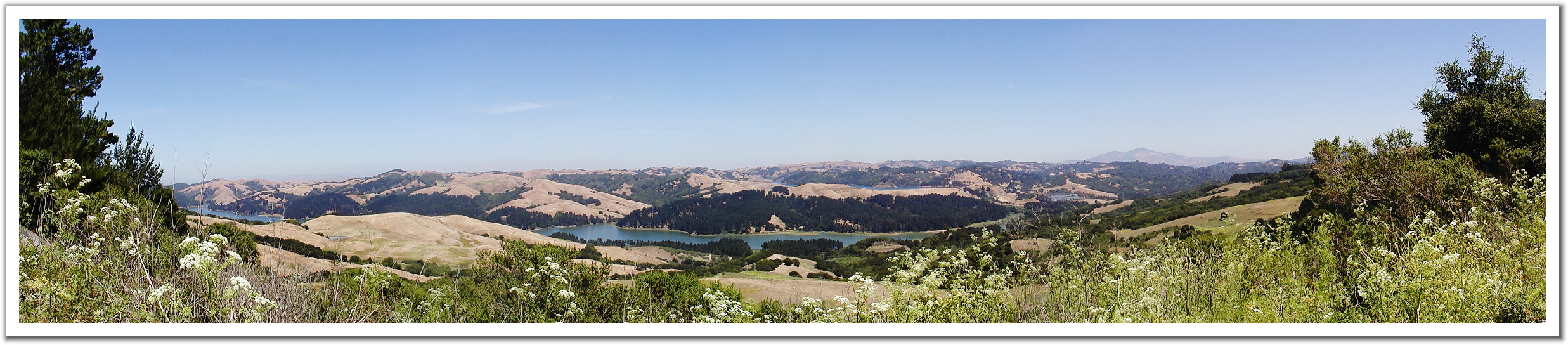 010813_Rolling_Hills_Of_California.jpg