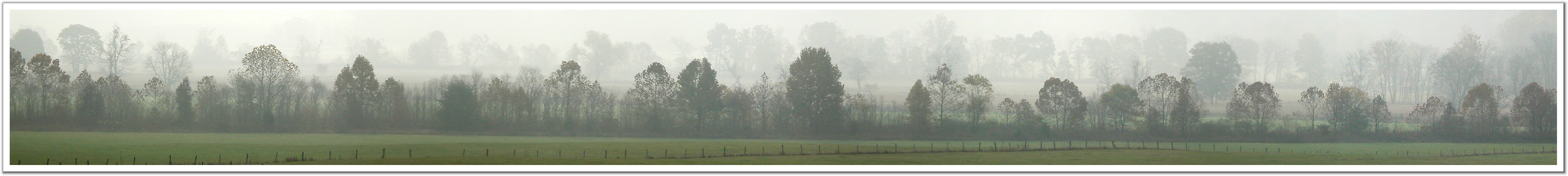 011015_Misty_Morning.jpg