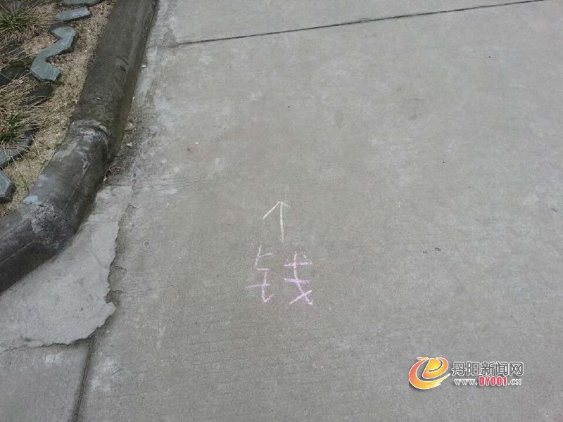 444.jpg