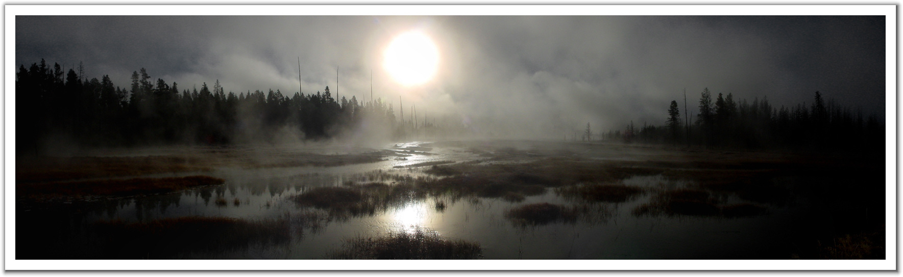 011220_Misty_Marsh.jpg