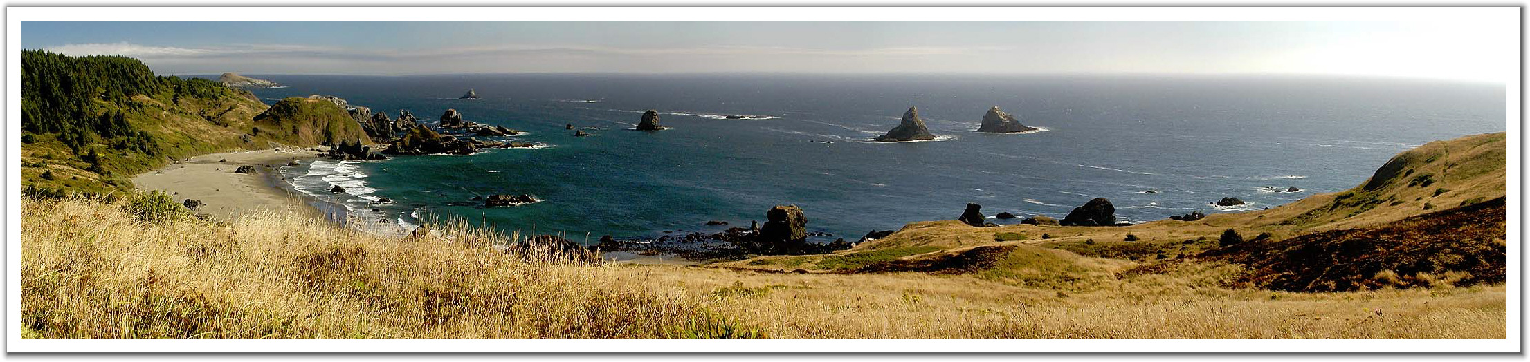 203927-Lone_Ranch_Beach-View_From_Cape_Ferrelo_Oregon_Coast.jpg