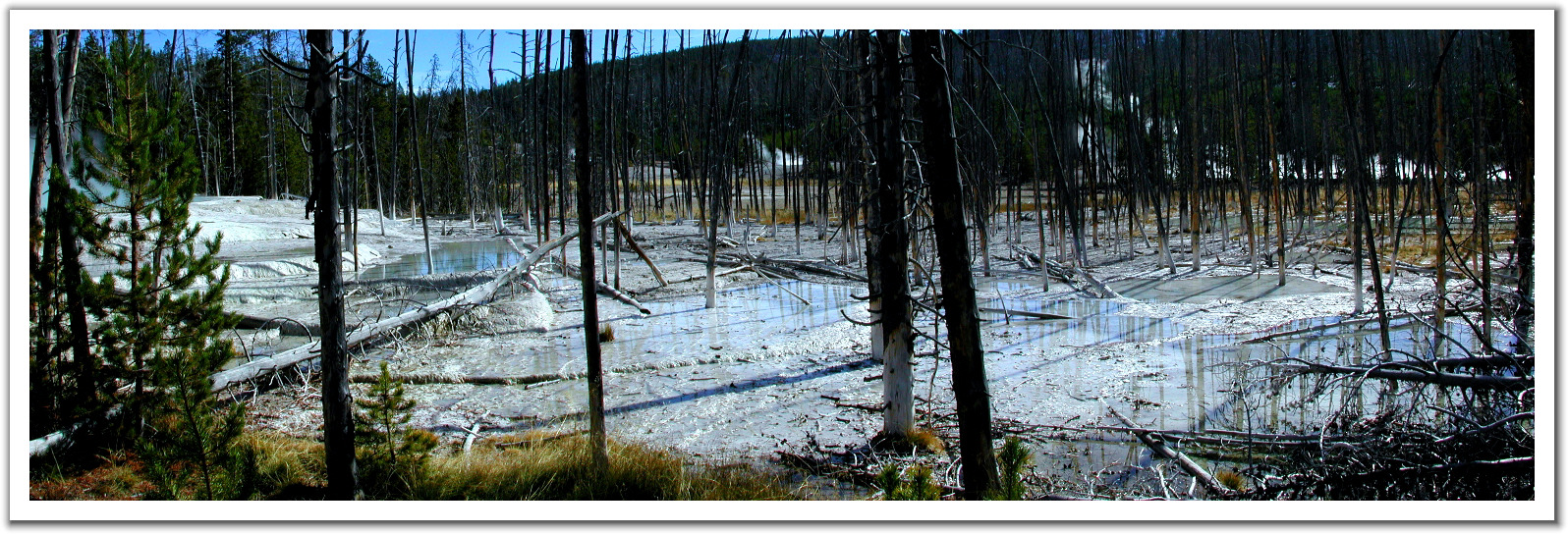 243130-Natures_Change_Of_Plan-Yellowstone.jpg