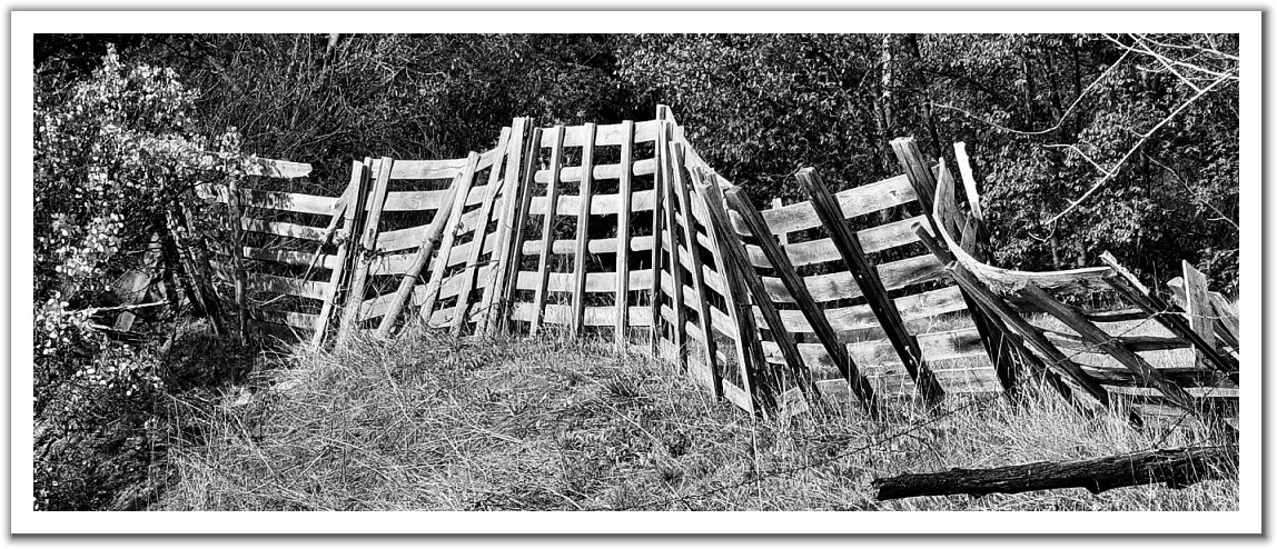 279442-Fence_In_B_W.jpg