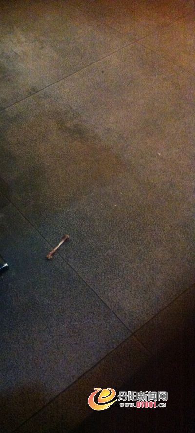 照片 319.jpg