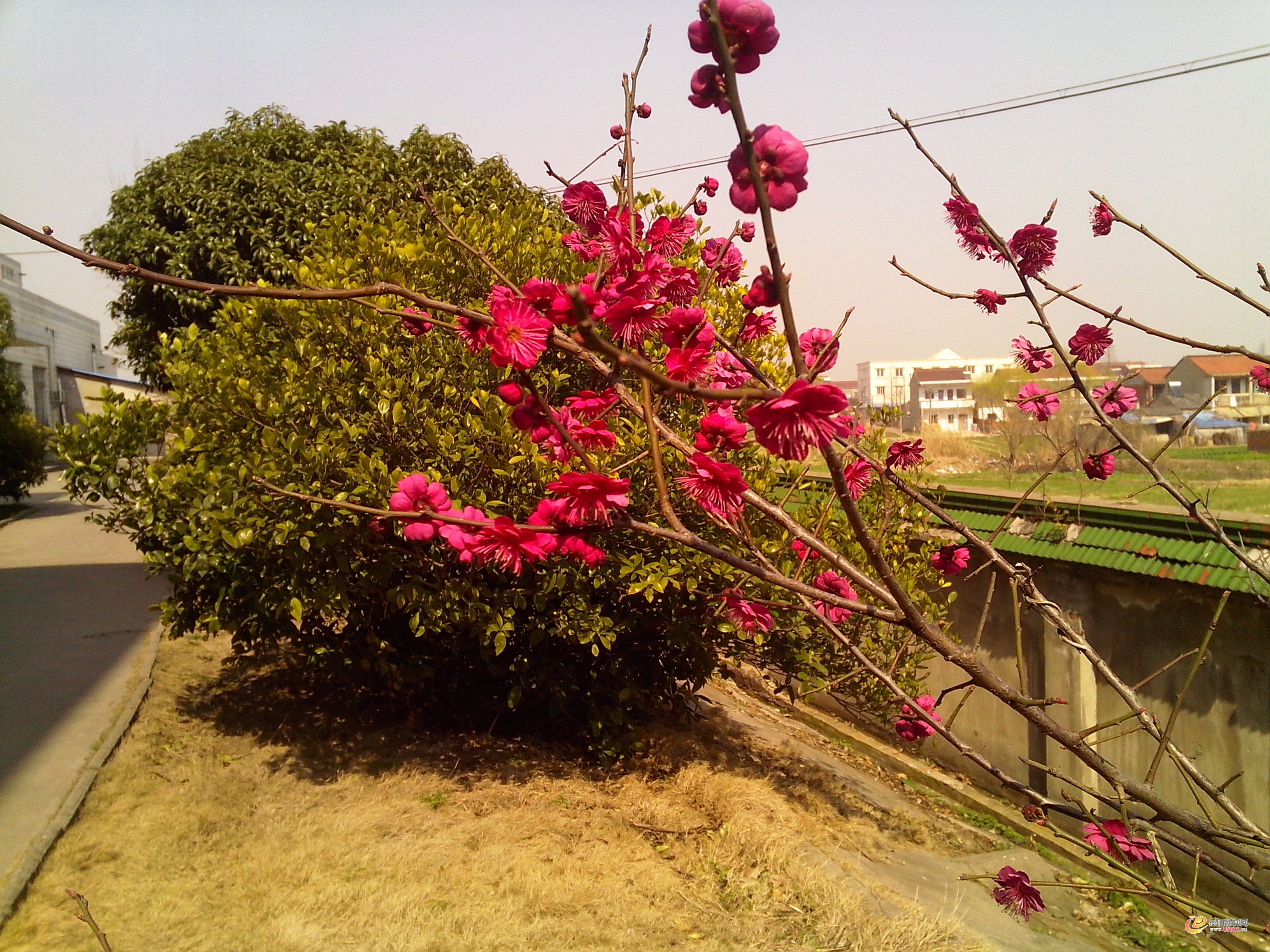 IMG_20130306_130752_01.jpg
