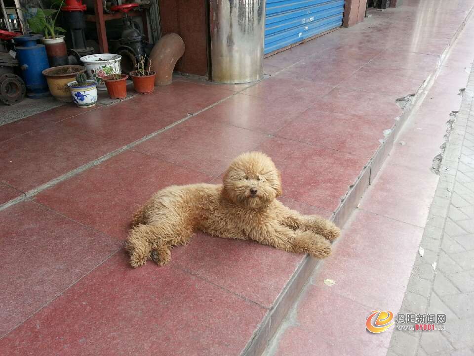 未命名22.jpg