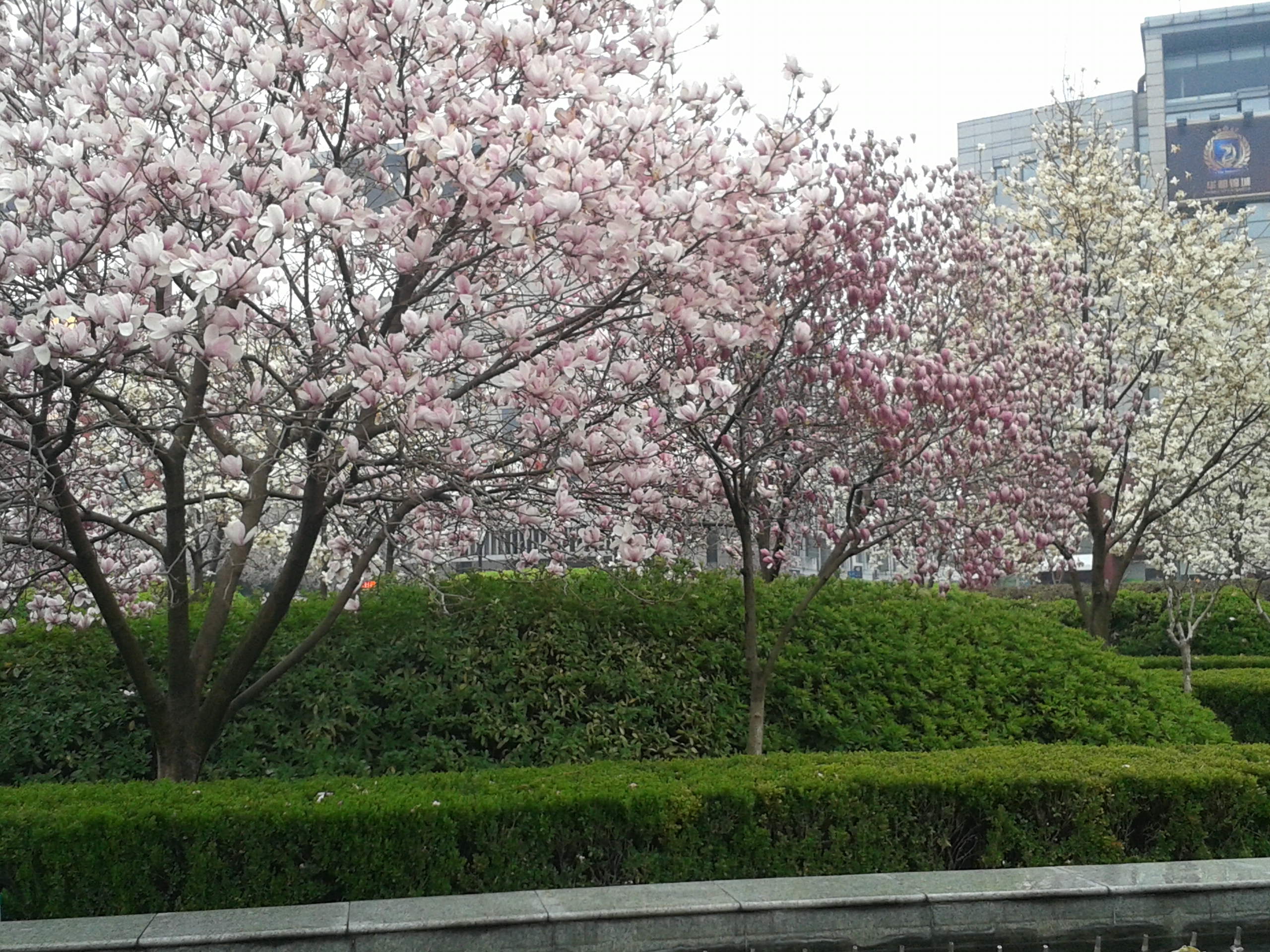 20130316_154544.jpg