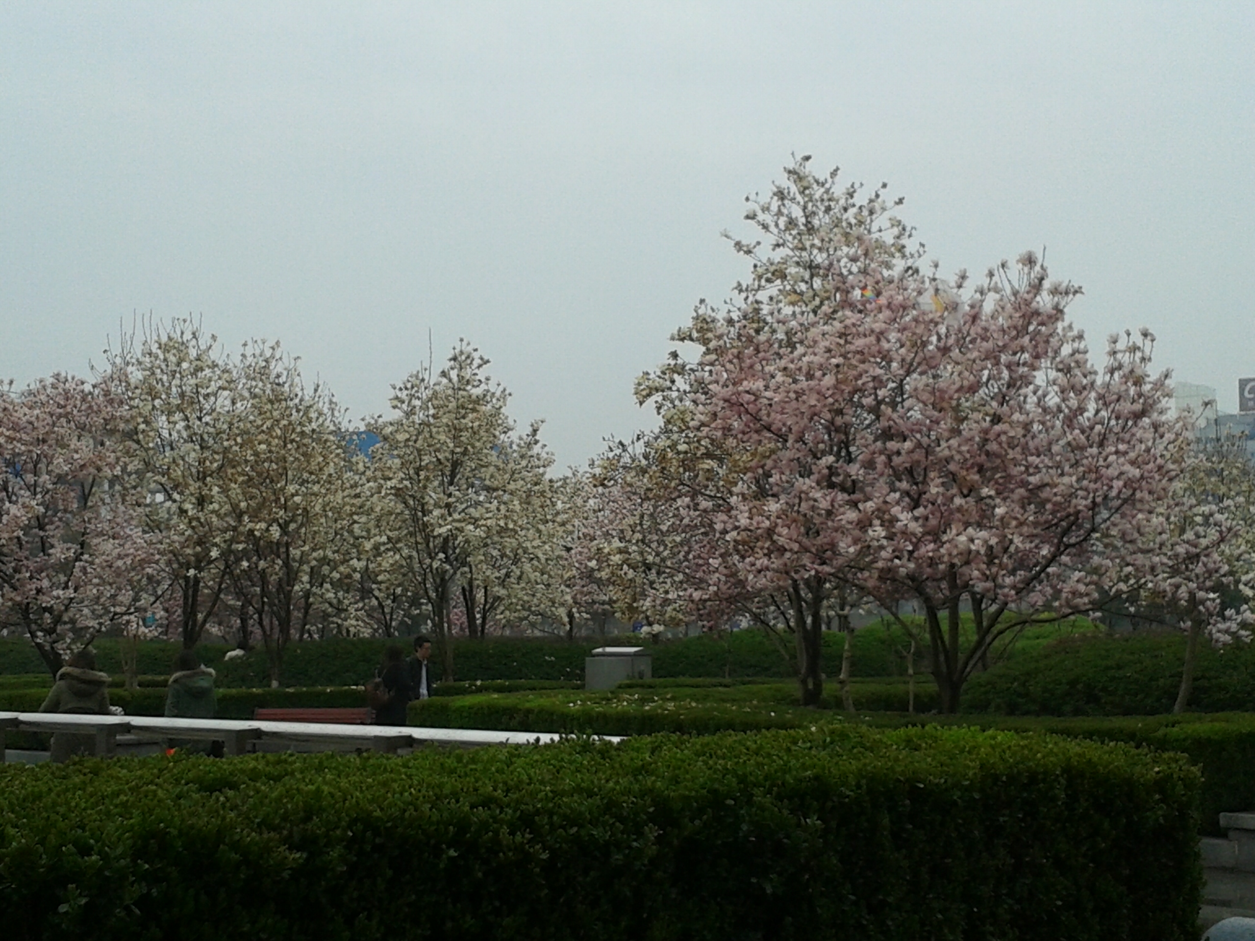 20130316_153541.jpg