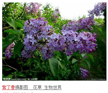 QQ截图20130320121908.png