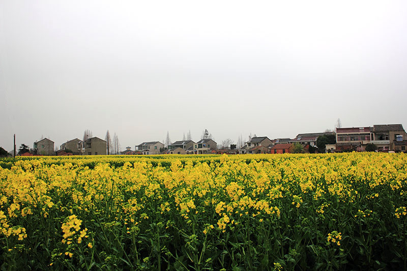 _MG_0675.JPG