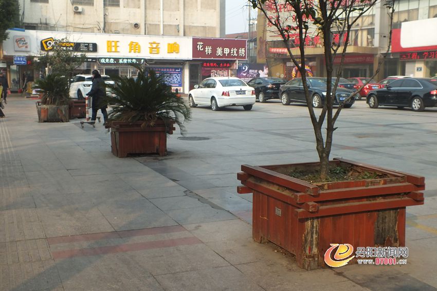 摄于万家欢对面广场