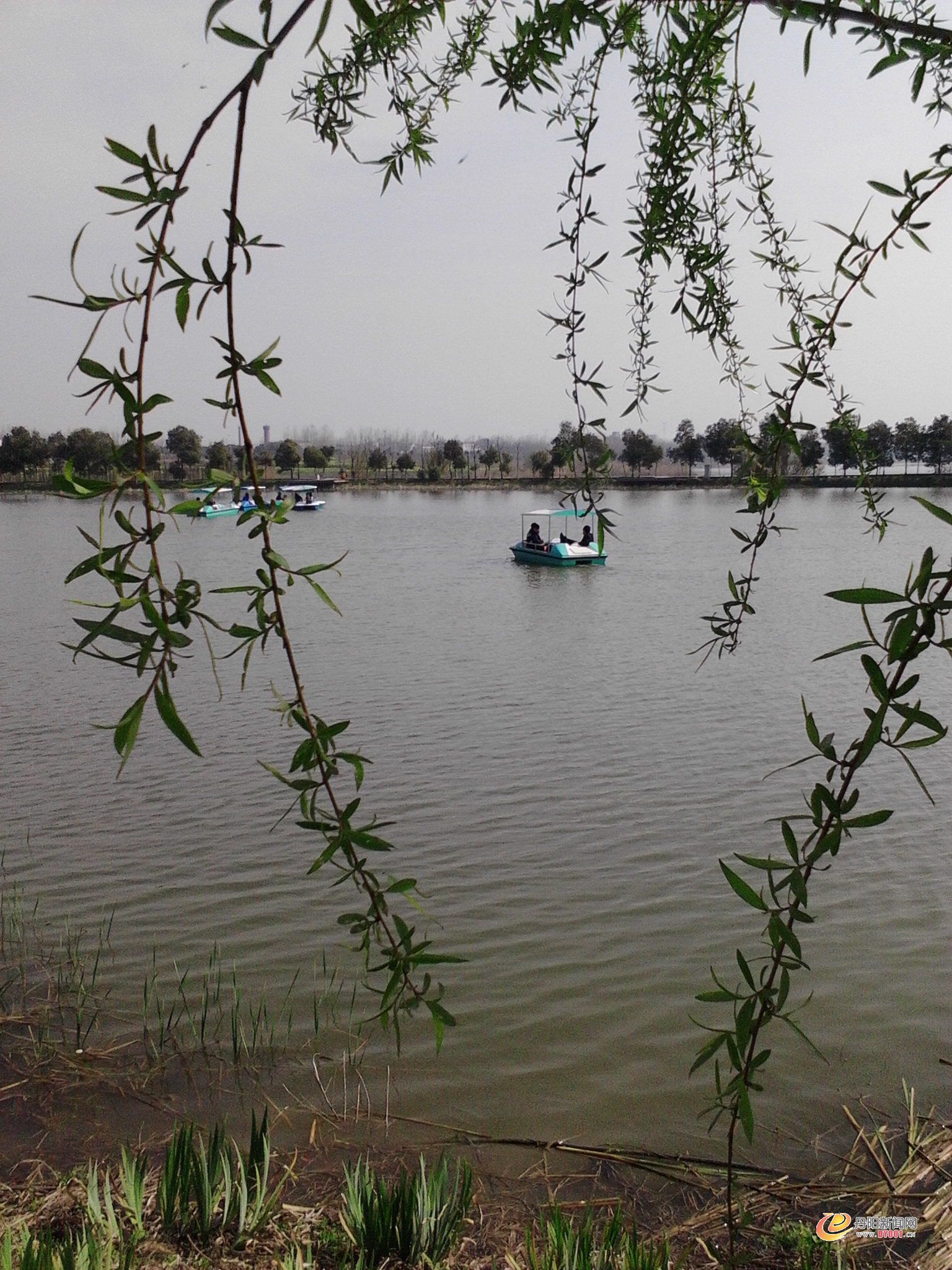 IMG20130331010.jpg
