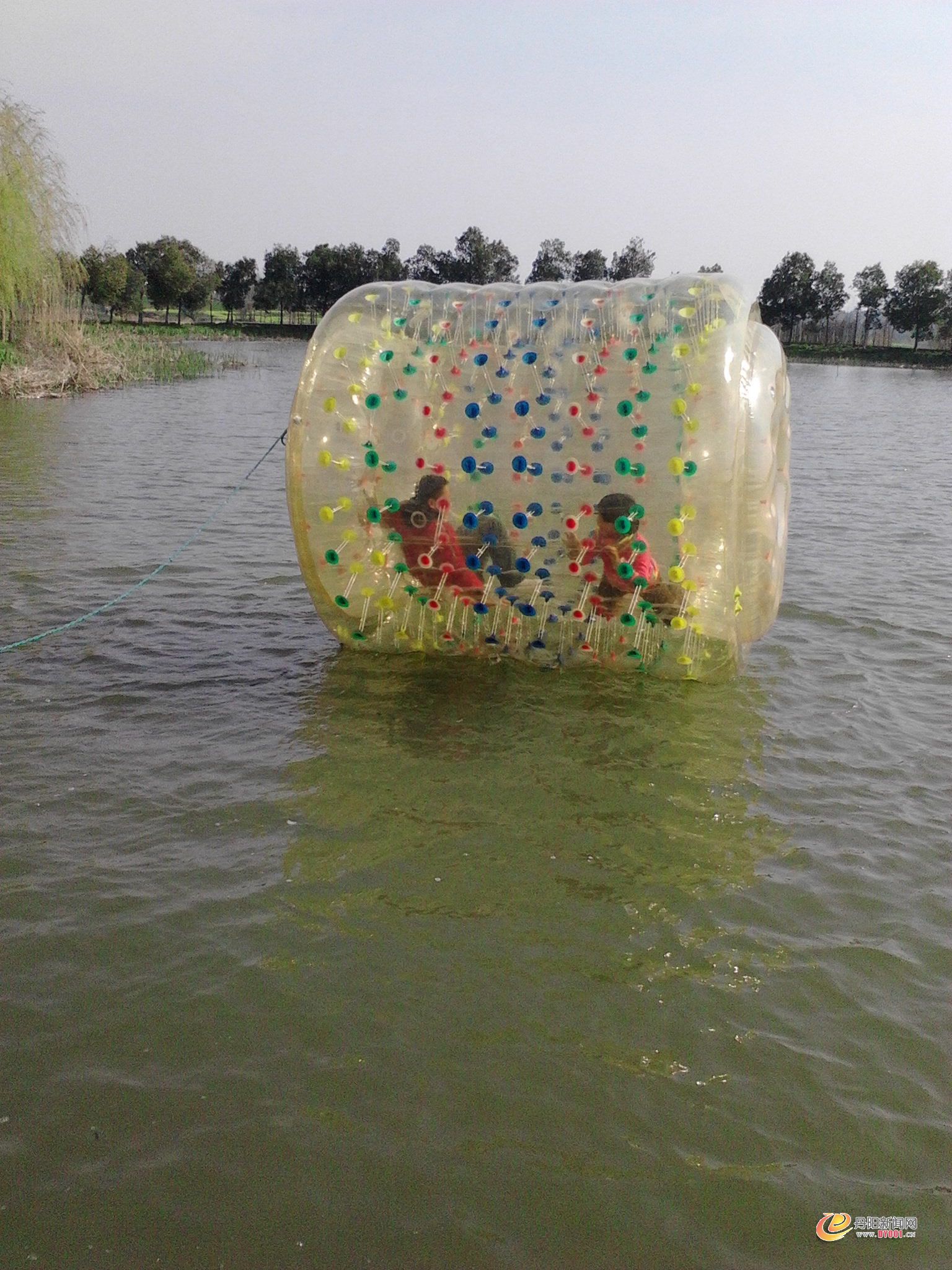 IMG20130331015.jpg