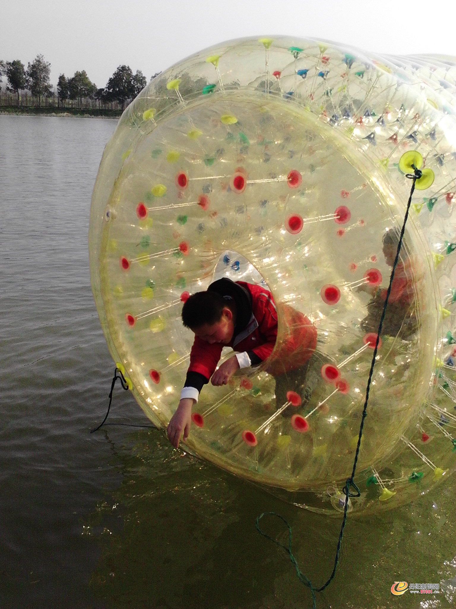 IMG20130331022.jpg