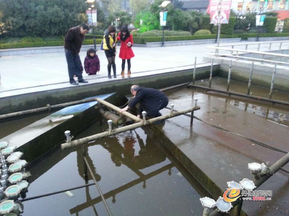 未命名b.jpg