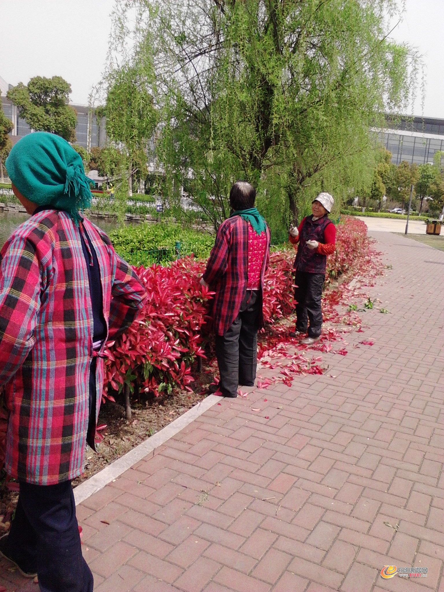 IMG20130409005.jpg