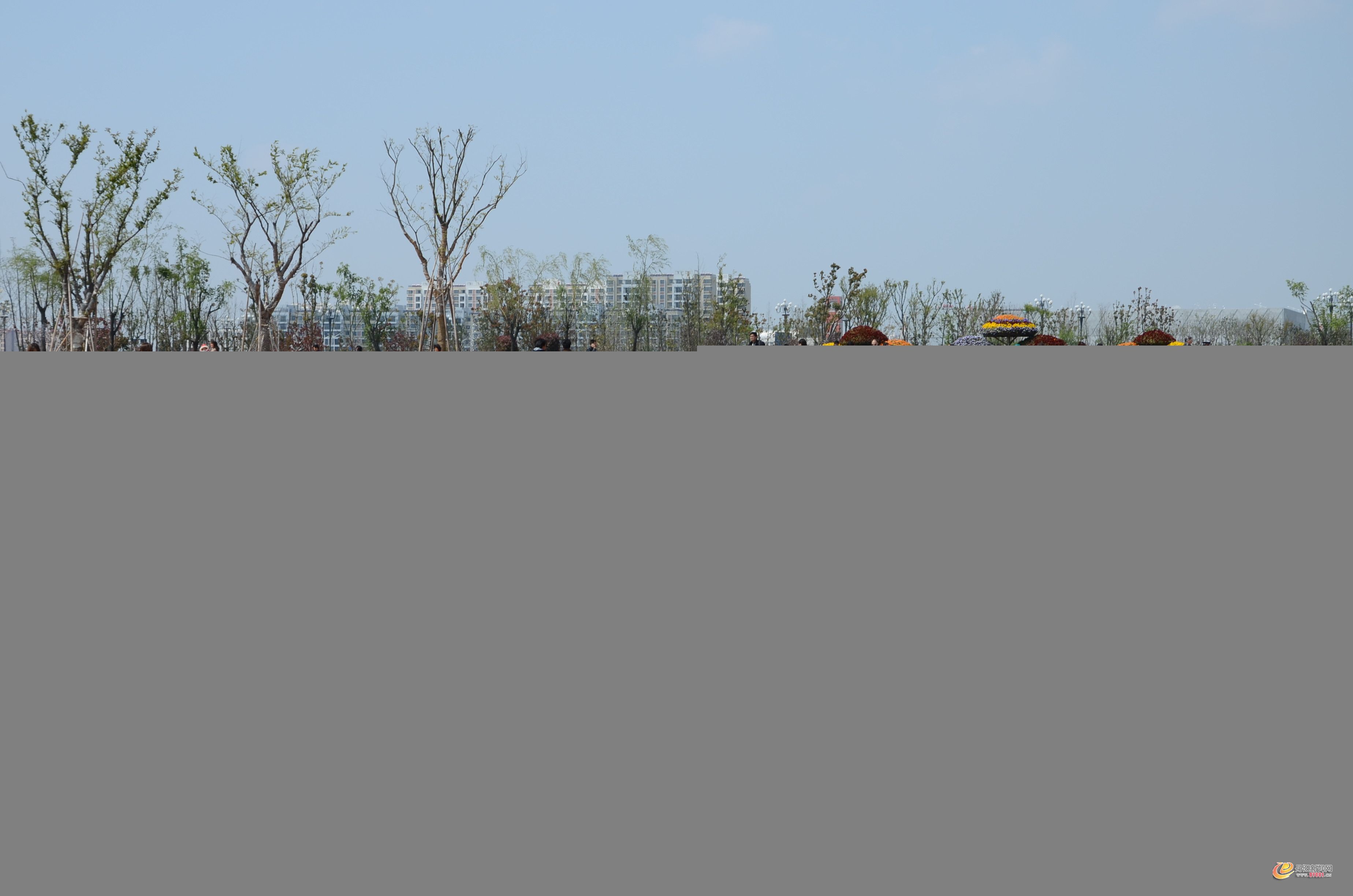 DSC_1874.JPG