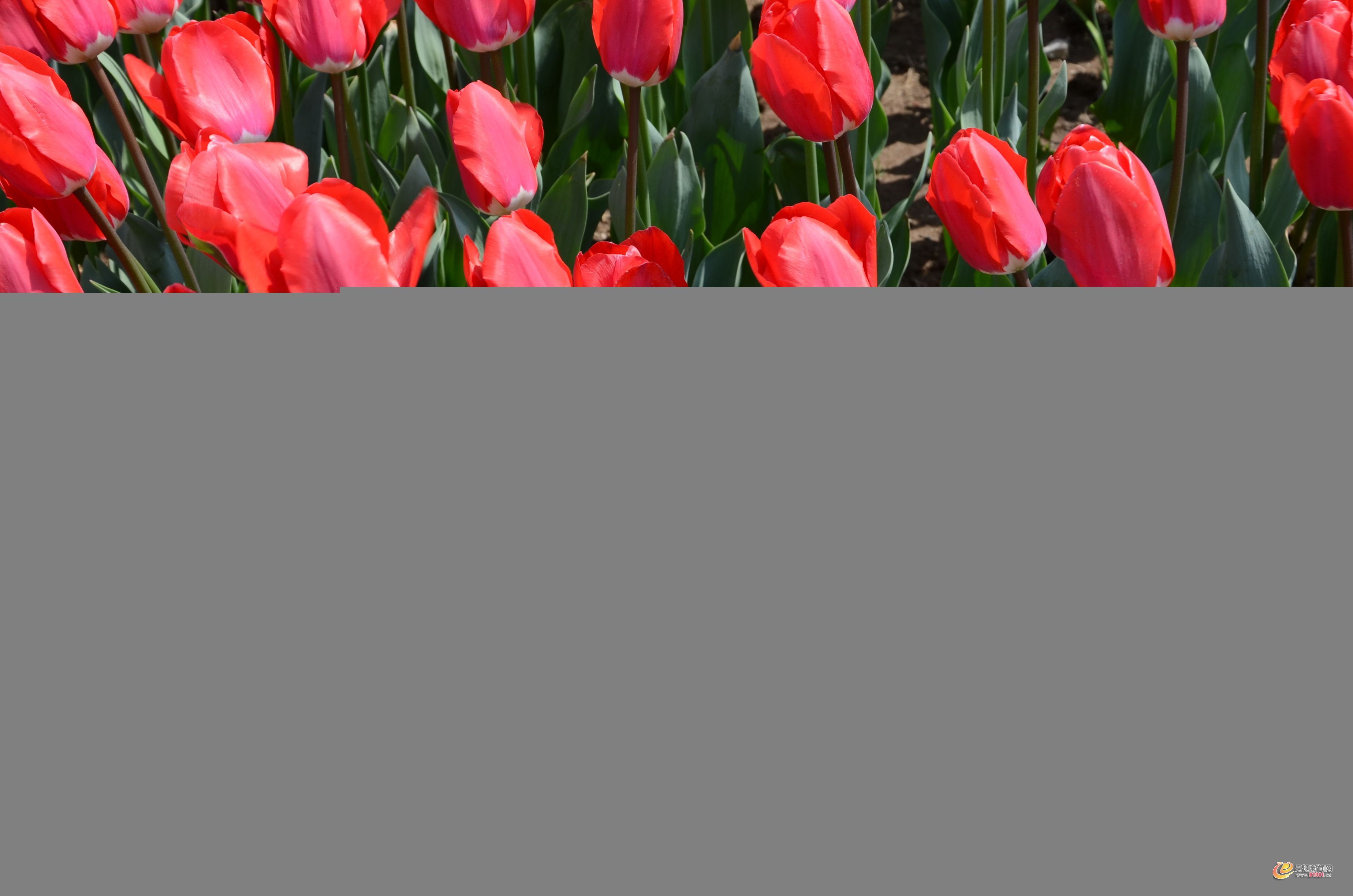 DSC_1876.JPG