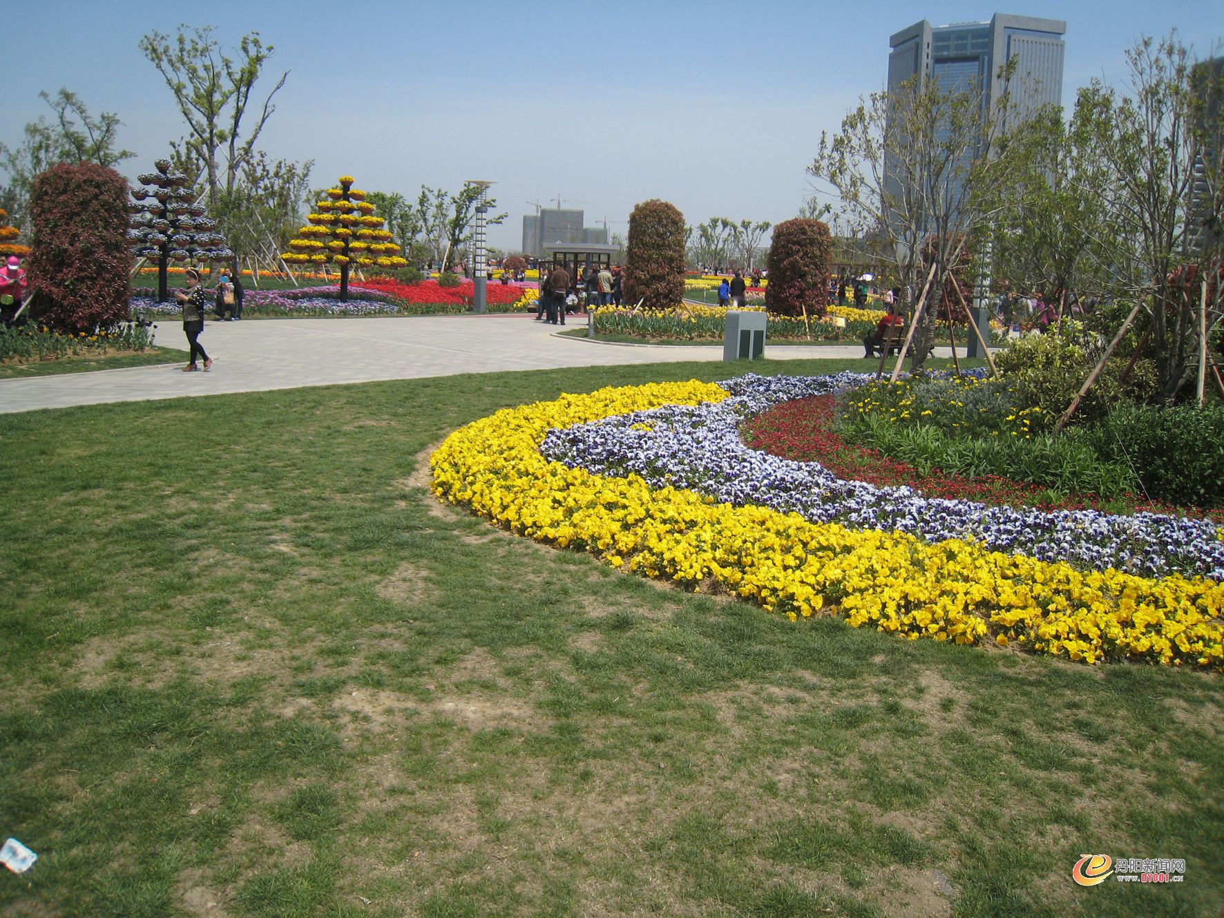 IMG_1355.JPG