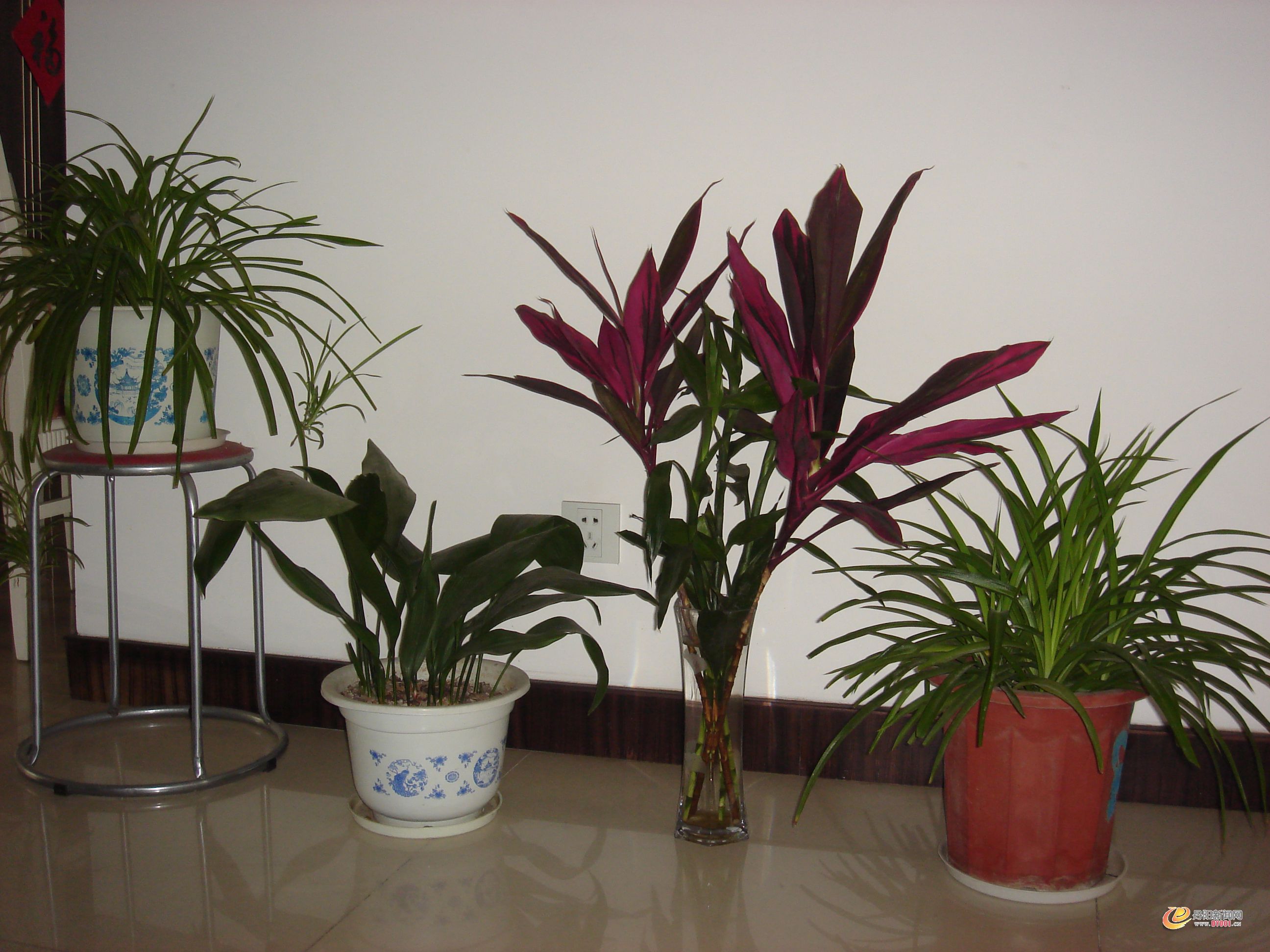 DSC07503.JPG