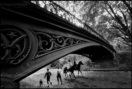 Central Park -3.jpg