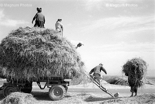 Afghanistan. Raccolta.jpg