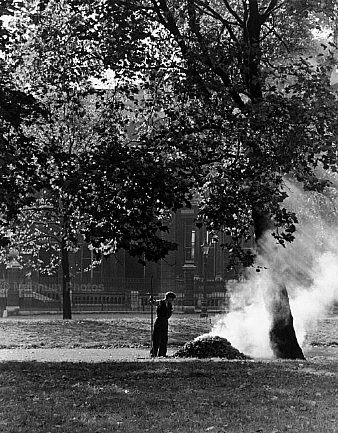 Gran Bretagna, Londra. Hyde Park, in autunno -1.jpg