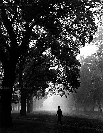 Gran Bretagna, Londra. Hyde Park, in autunno -2.jpg