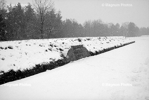 Germania, Bergen. Tomba comune, all\\'interno del campo.jpg